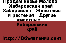 Продам козье молоко - Хабаровский край, Хабаровск г. Животные и растения » Другие животные   . Хабаровский край